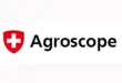 Logo for 