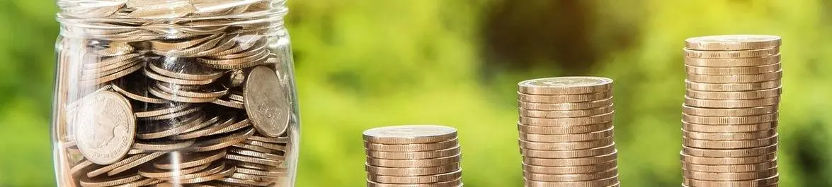 
          The Higher the Academic Qualification the Higher the Wage
  
