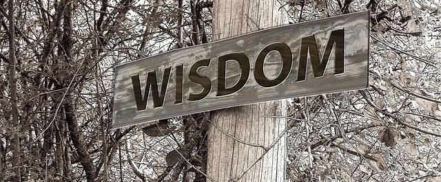
          How To Apply For A PostDoc Grant or Fellowship
  