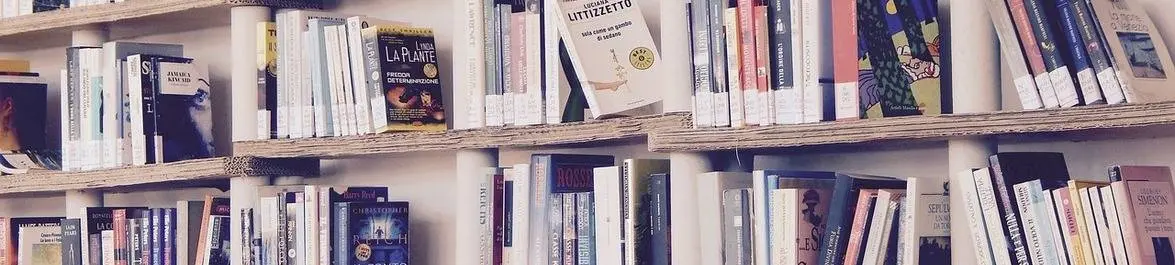 
          5 Books You Should Read Before a Conference
  