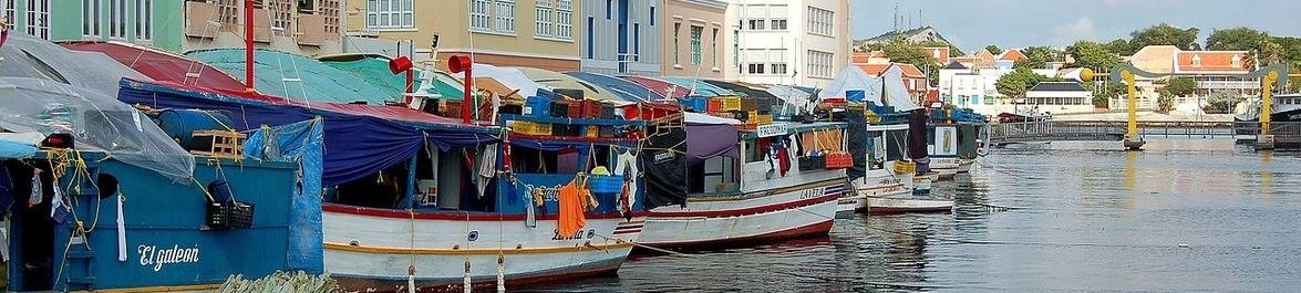 
          The Challenges Faced by Small Island Economies
  