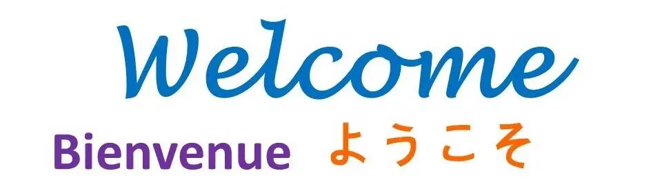 
          How To Learn A New Language?
  