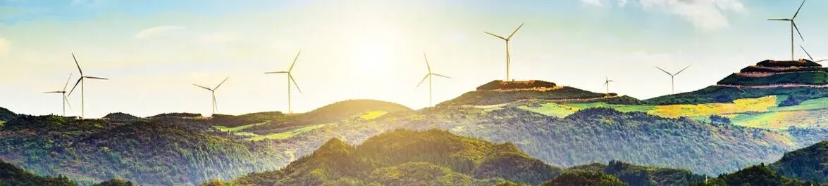 
          How to incorporate macroeconomics in environmental economics courses
  