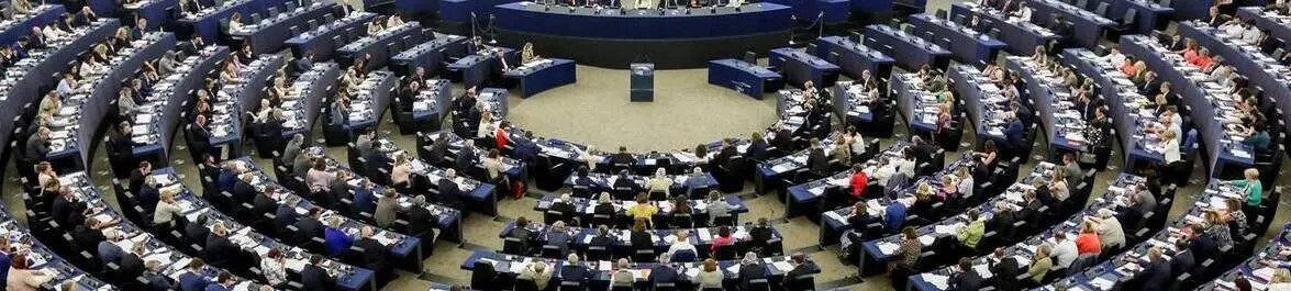 
          Opportunity to Provide Expertise at the European Parliament - Interview with Alexandre Mathis
  