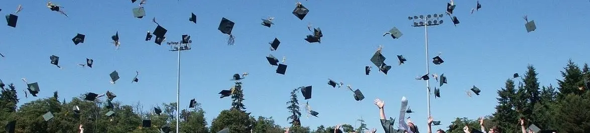 Wie man die Verteidigung einer wirtschaftswissenschaftlichen Dissertation überlebt