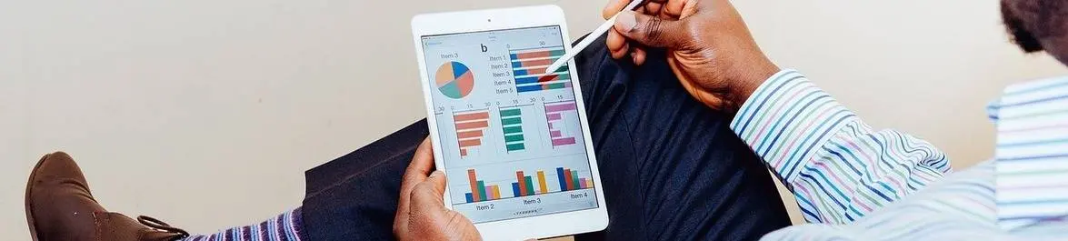 
          Non-Profit Sector: Job Options for an Economist
  