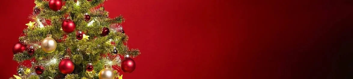
          The Economics of Christmas
  