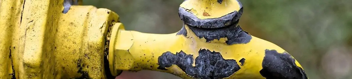 El Techo de Cristal y el “Leaky Pipeline” en Economía