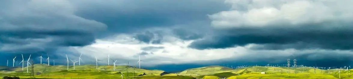 
          The Case for Ecological Economics
  
