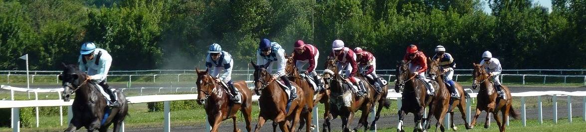 
          The Economics of Match Betting
  